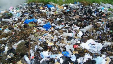 Photo of Côte d’Ivoire : la Journée mondiale sans plastique célébrée sous autorisation du plastique pour le ciment