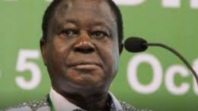 Photo of À Paris,le Rhdp a mobilisé des maliens avec 100 euros et nous 1,2 millions de militants à Yakro (Bédié)