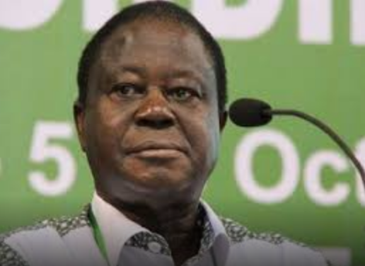 Photo of À Paris,le Rhdp a mobilisé des maliens avec 100 euros et nous 1,2 millions de militants à Yakro (Bédié)