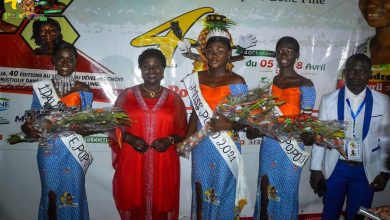 Photo of 40è édition du Popo carnaval 2021 Marie-Josette, la fée du royaume Abouré