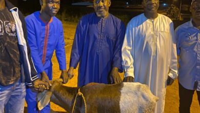 Photo of Agboville Les musulmans ont reçu des béliers du ministre Dimba Ngou Pierre