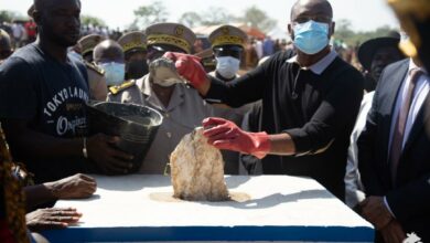Photo of Pose de la première pierre du Centre de transfert de technologie et de formation en aviculture de Marabadiassa – Sidi Touré: “Contribuer de façon importante à l’autosuffisance en matière de produits avicoles”
