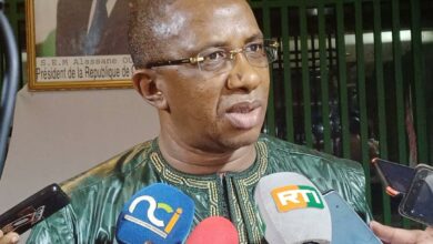Photo of Émergence des pays africains- Ce que proposent des intellectuels