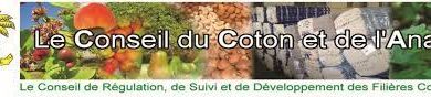Photo of Déroulement de la campagne de commercialisation -Le Conseil coton-anacarde rappelle la mise en place d’un numéro vert gratuit