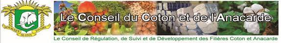 Le Conseil coton-anacarde rappelle aux acteurs des filières Coton et Anacarde que sont les producteurs, sociétés coopératives, acheteurs,