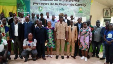 Photo of Couvert forestier du Cavally-Le Conseil régional et l’Idh en phase pour une croissance verte