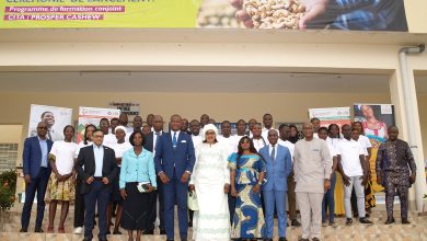 Photo of Yamoussoukro- Des étudiants formés à la transformation de la noix de cajou