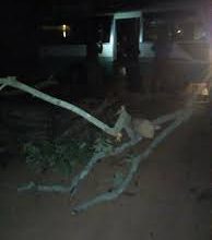 Photo of  Axe Agboville-Abidjan-Des coupeurs de route dépouillent des passagers  de véhicules personnels et un chauffeur de camion