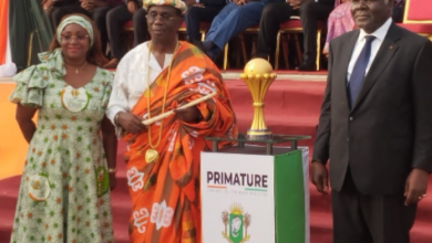 Photo of Can 2023 remportée par les Éléphants- Beugré Mambé présente le trophée à ses parents d’Ebimpé