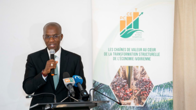 Photo of Compétitivité des fruits et légumes- 30 Ivoiriens en immersion en Hollande grâce au PCCET