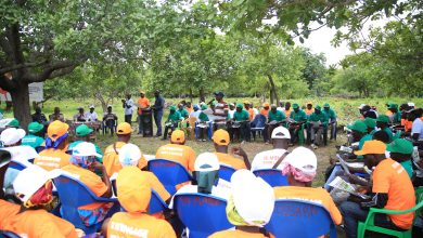 Photo of Lutte contre les insectes- Des producteurs de Kimbirila-Nord formés