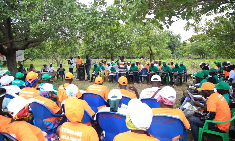 Photo of Lutte contre les insectes-  Des producteurs de Kimbirila-Nord formés