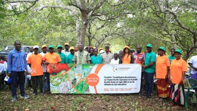 Photo of Production nationale de cajou- Le Conseil du coton et de l’anacarde accentue la lutte contre les bio-agresseurs