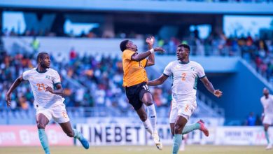 Photo of Éléphants : une panne de performance ?