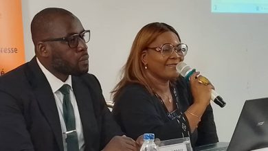 Photo of Anp-Academy -Dominique Mobio, journaliste: « L’illustration informe, documente, symbolise, divertit ou décore »