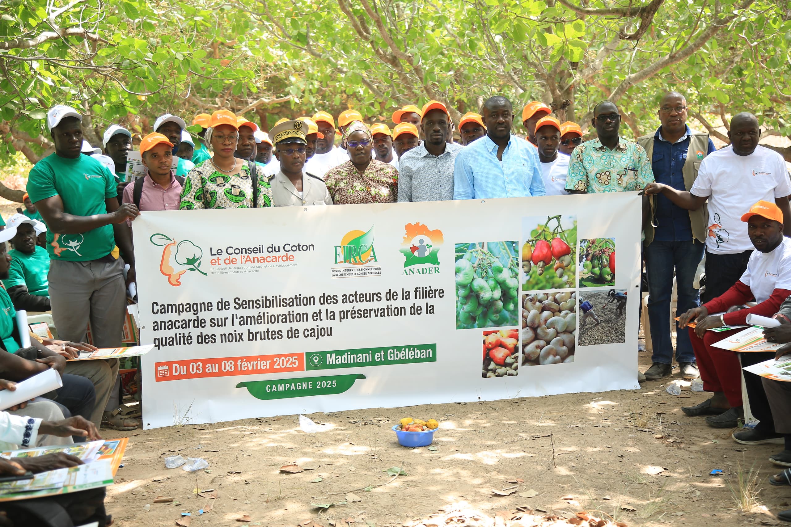 Le Conseil du coton et de l’anacarde (CCA) a déployé des missions de sensibilisation dans les zones de production de l’anacarde du 3 au 8