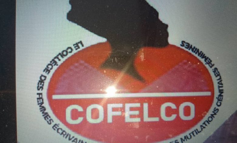 Photo of Lutte contre les violences faites aux femmes-  Les   écrivaines sensibilisent les exciseuses de Katiola