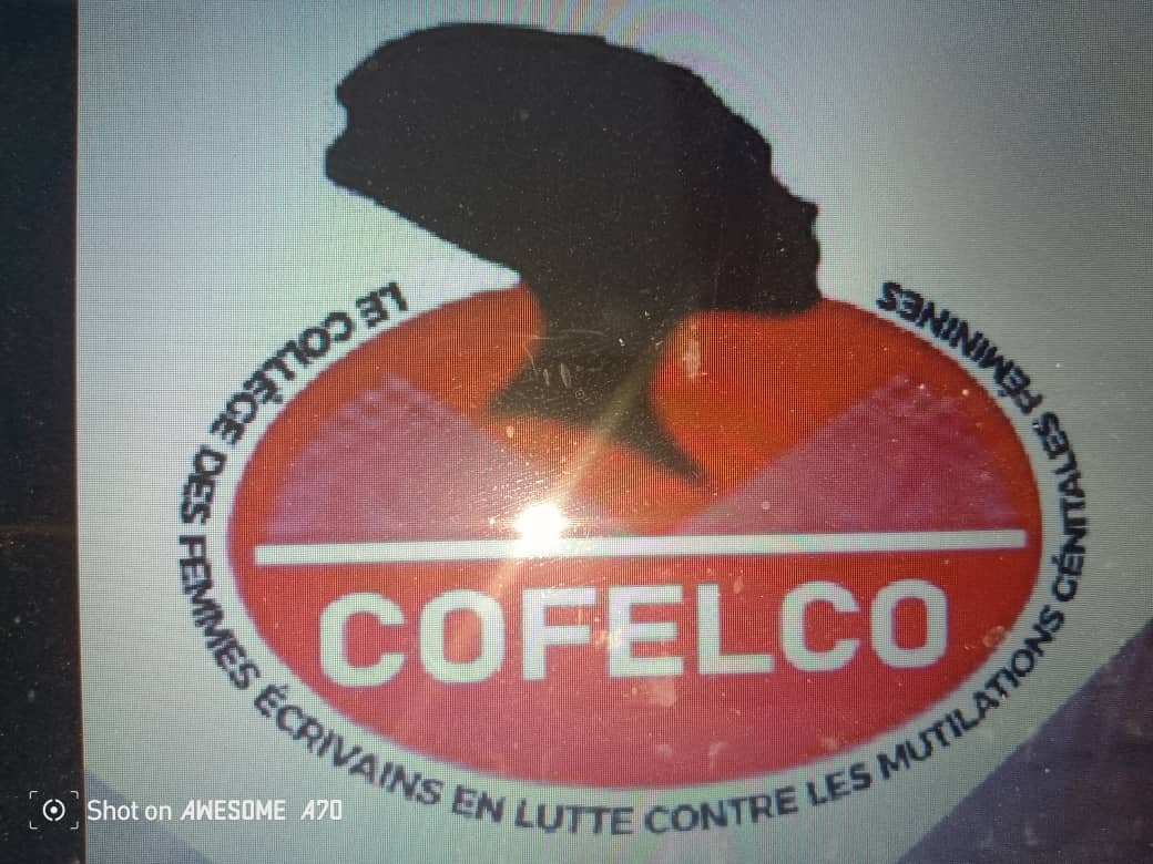 Les femmes écrivaines utiliseront le livre comme un outil de sensibilisation contre les violences faites aux femmes et aux petites filles,