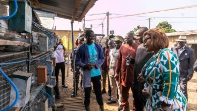 Photo of Avec une production annuelle de 500 à 600 lapins et un chiffre d’affaires estimé entre 2 et 2,5 millions de francs CFA- Bamba Abdoul Kader partage son expérience avec l’Agence Emploi Jeunes