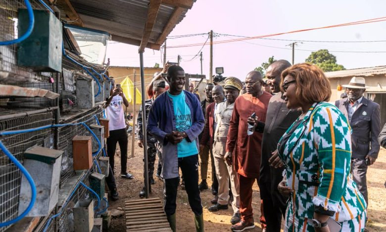 Photo of Avec une production annuelle de 500 à 600 lapins et un chiffre d’affaires estimé entre 2 et 2,5 millions de francs CFA-   Bamba Abdoul Kader partage son expérience avec l&rsquo;Agence Emploi Jeunes